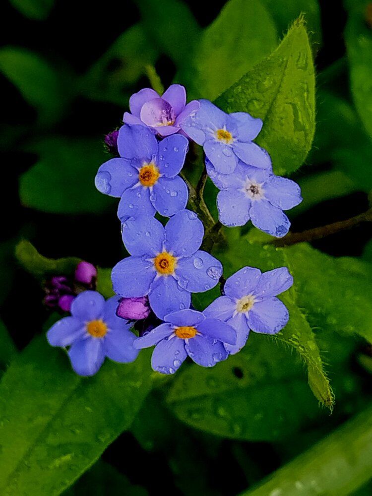 Фотография автора Татьяна Солтан