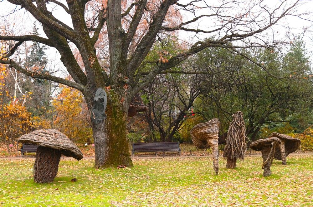 Photograph by Гагик Саркисян