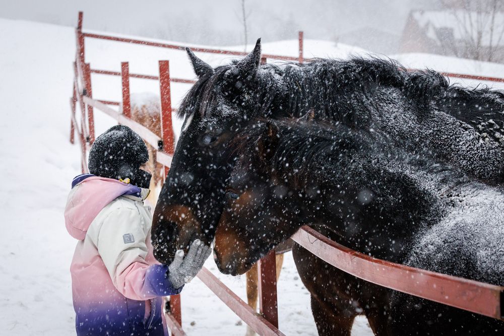 Photograph by Сергей Зорин