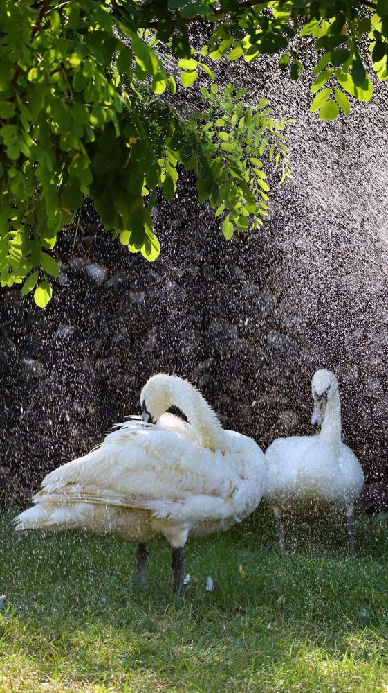 Photograph by Ириша Леконцева