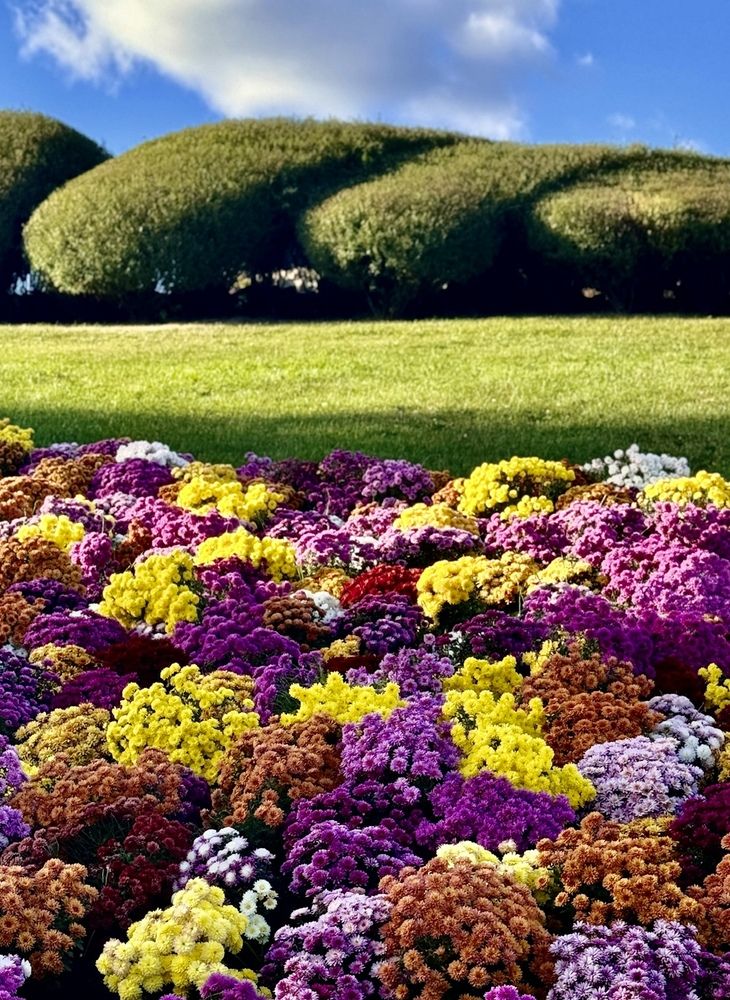 Фотография автора Евгения Иванова