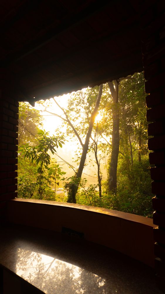 Photograph by PUNEETH KUMAR M