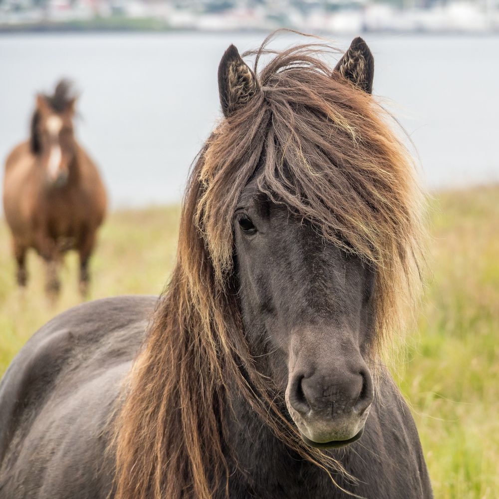 Photograph by Александр Авдушев