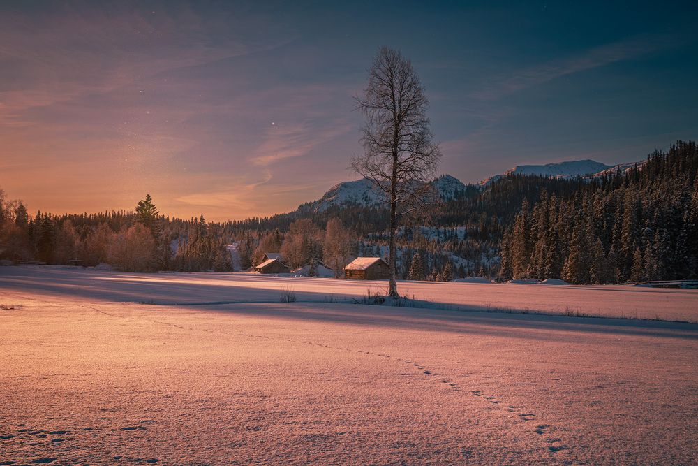 Photograph by Renee Johansson