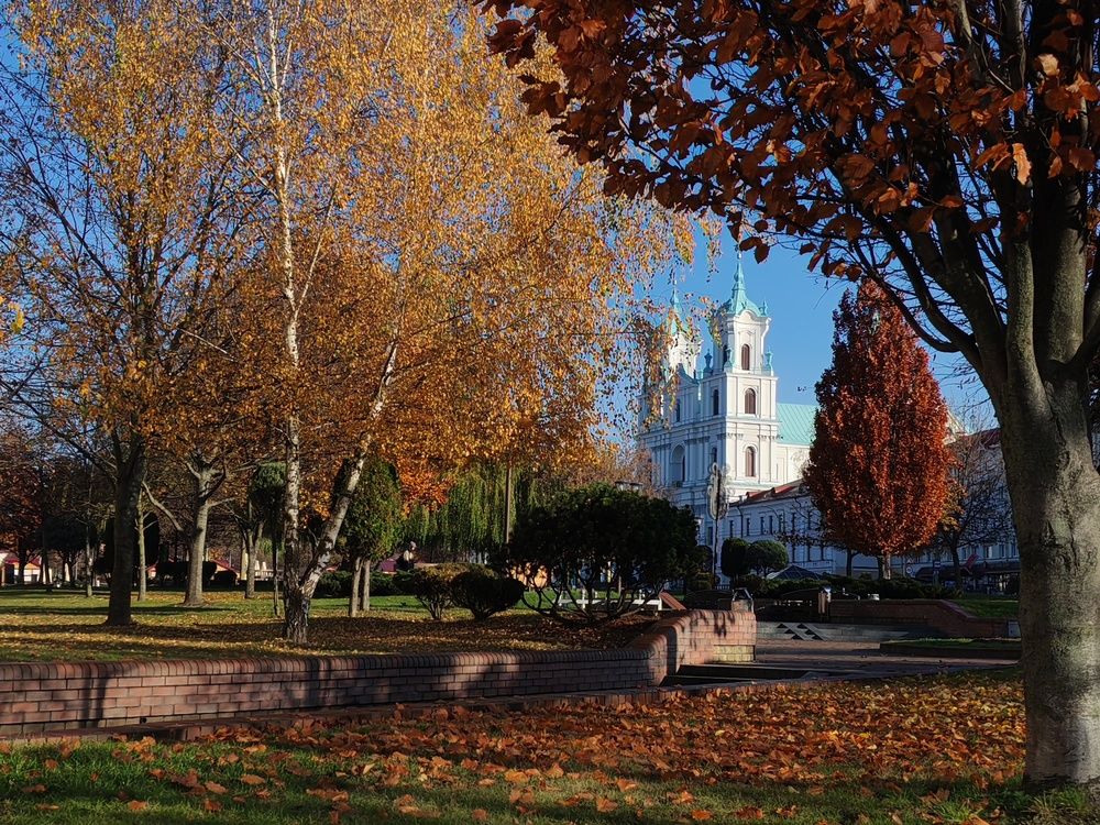 Photograph by Александра Пецевич