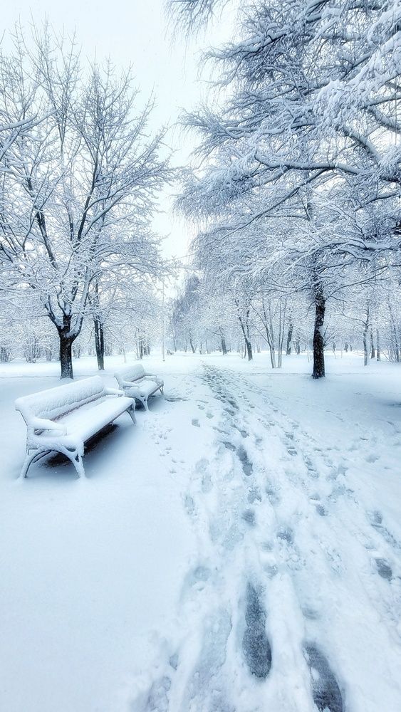 Photograph by Алена Самошина