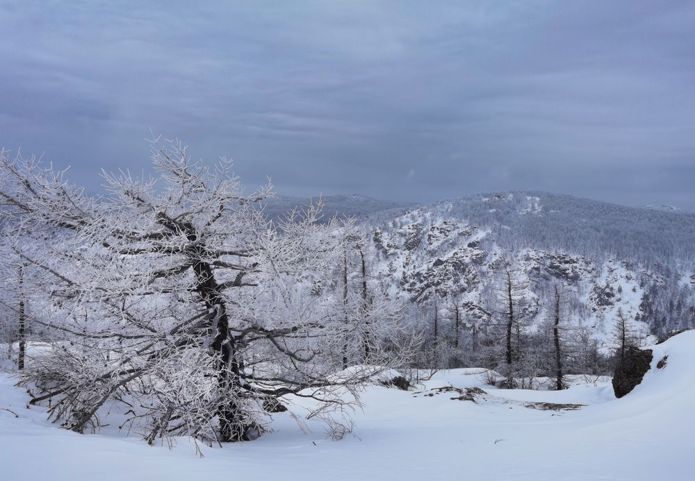 Фотография автора Inna Ivanova