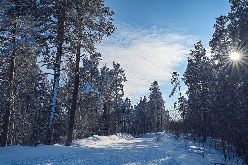 Фотография автора Inna Ivanova