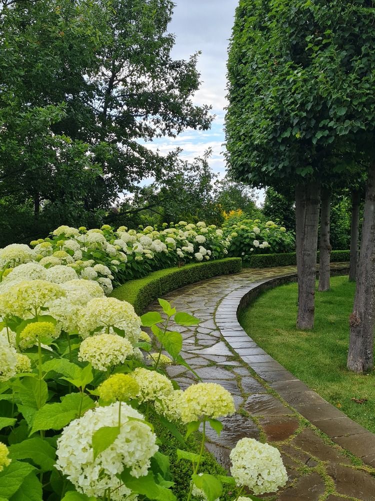 Photograph by Ирина Хлебникова