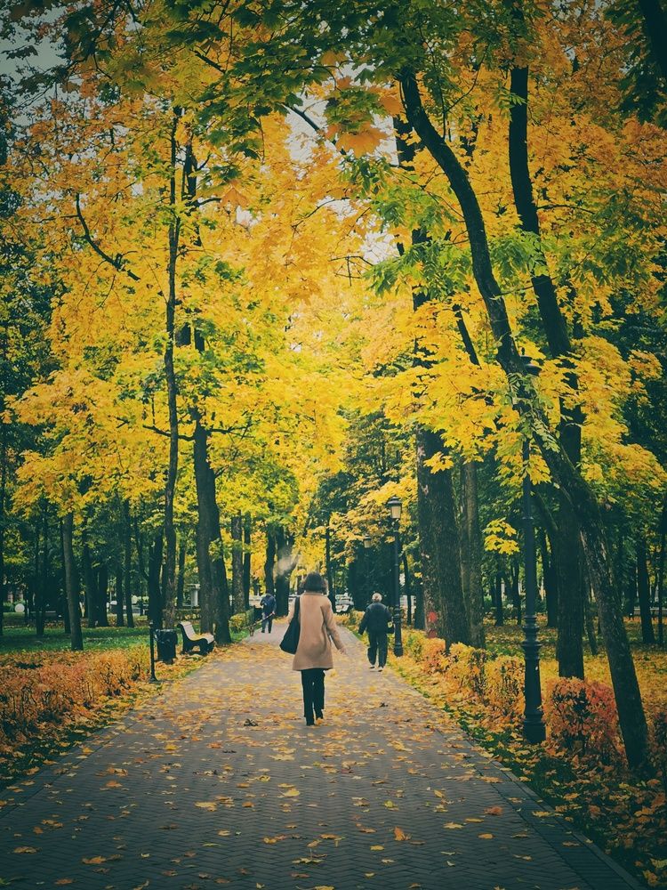 Photograph by Ирина Хлебникова