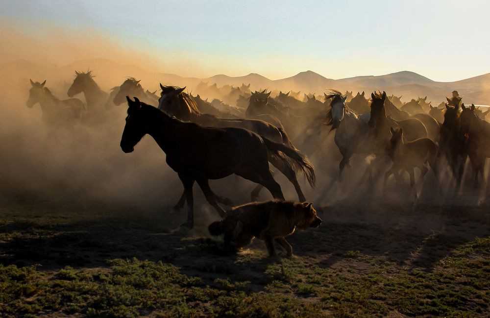 Photograph by Nuray Keskin