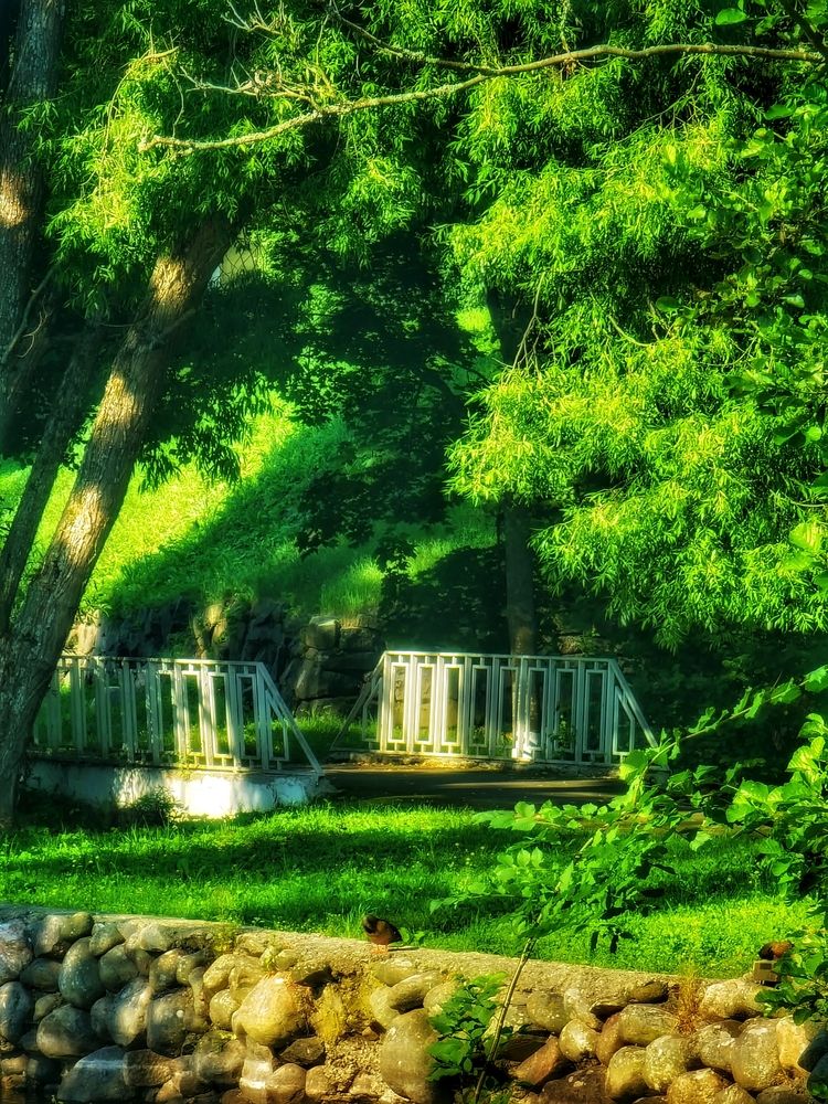 Photograph by Алена Самошина