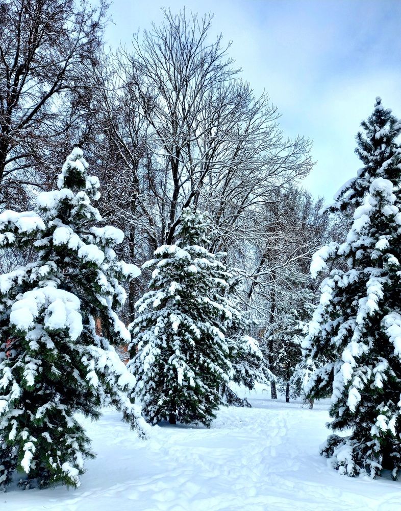 Photograph by Ольга Юрченко