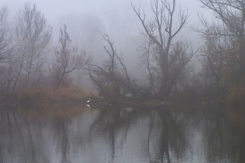 Photograph by Milan Uhrin