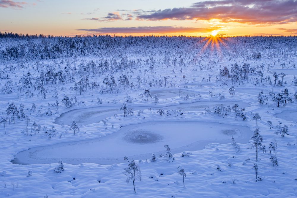 Photograph by Andres Papp