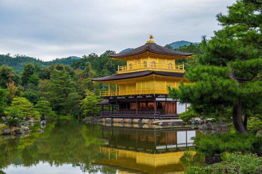 Photograph by Alona Povolotsky