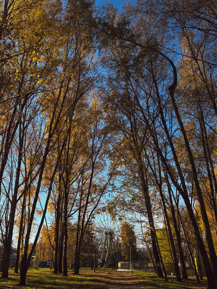 Photograph by Марина Харитонова