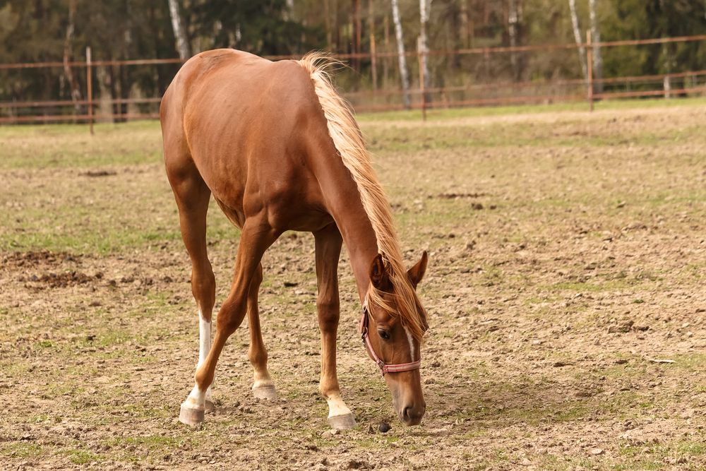 Photograph by Наталья Колеватова
