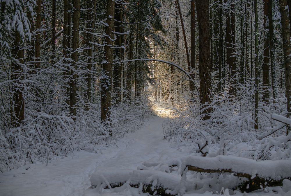 Photograph by Ирешева Мария