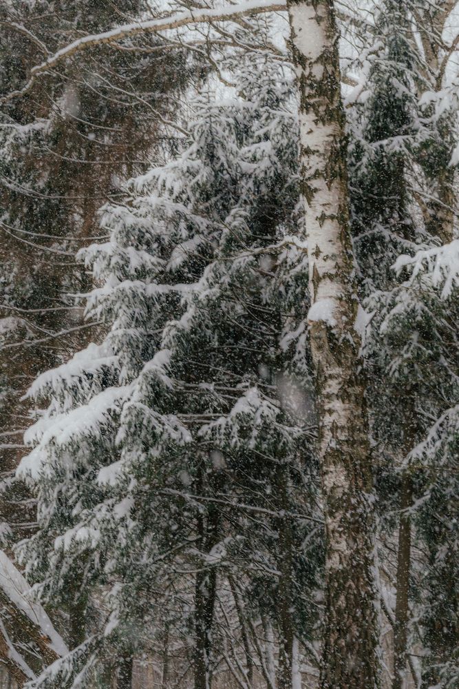 Фотография автора Екатерина Кузнецова
