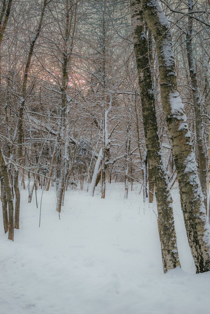 Фотография автора Екатерина Кузнецова