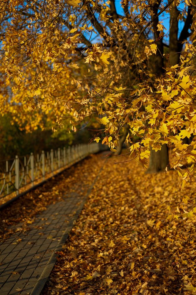 Photograph by Марина Черникова