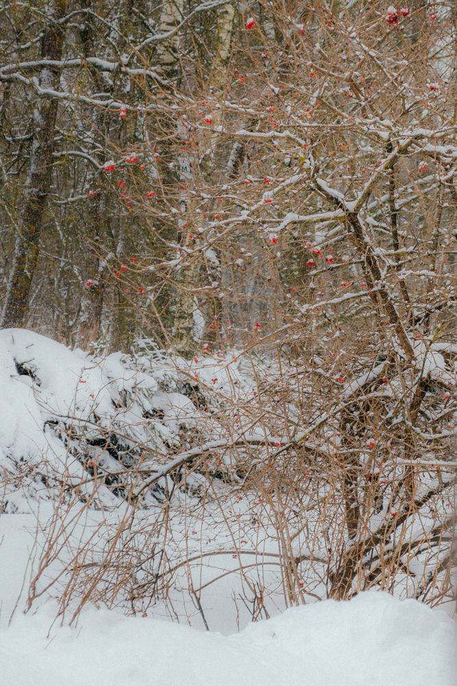Фотография автора Екатерина Кузнецова