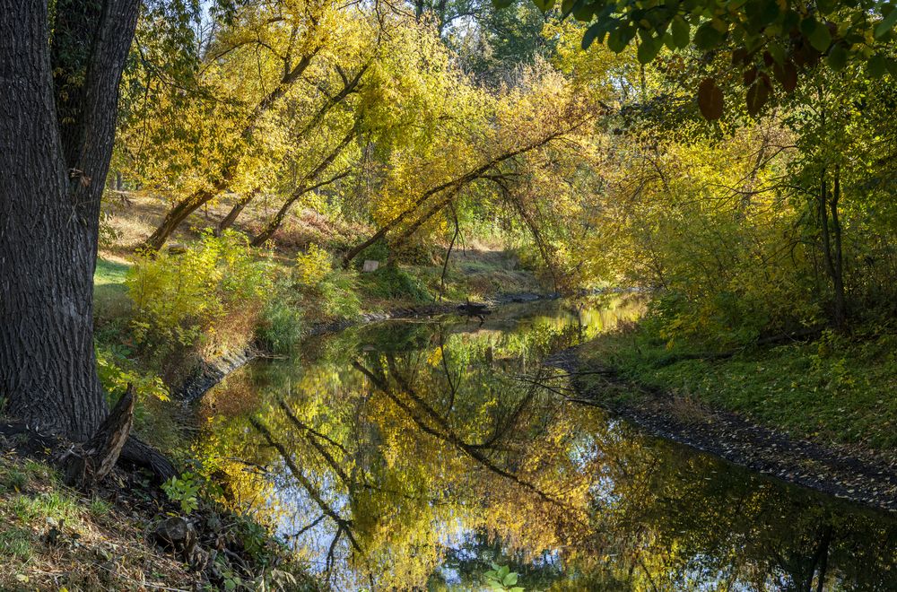 Photograph by Олег Коваль