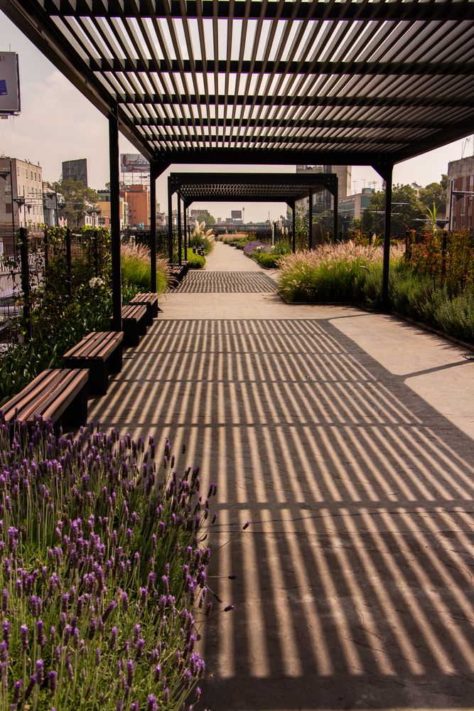 Photograph by Jorge Bagnuoli