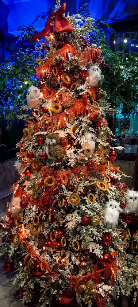 Фотография автора Анастасия Владимирова