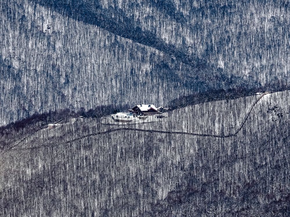 Фотография автора Андрей Груцинов