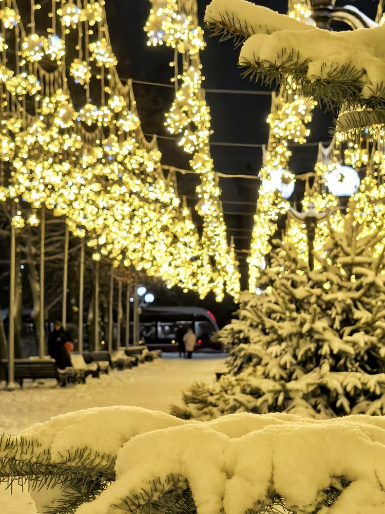 Photograph by Мария Тёмкина