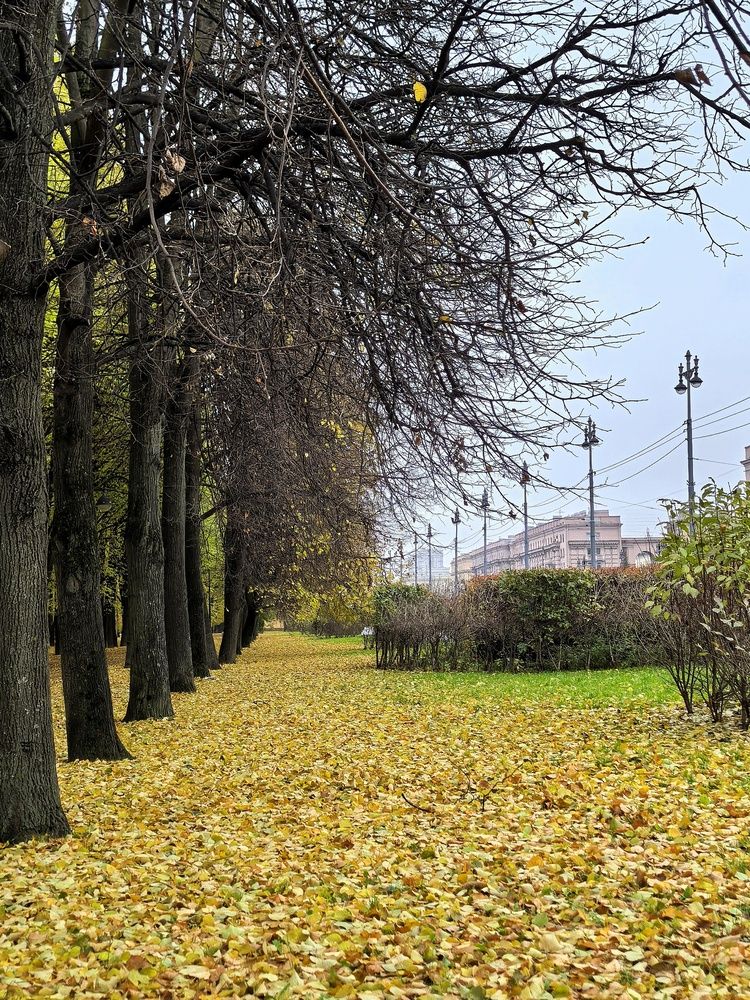 Photograph by Мария Тёмкина