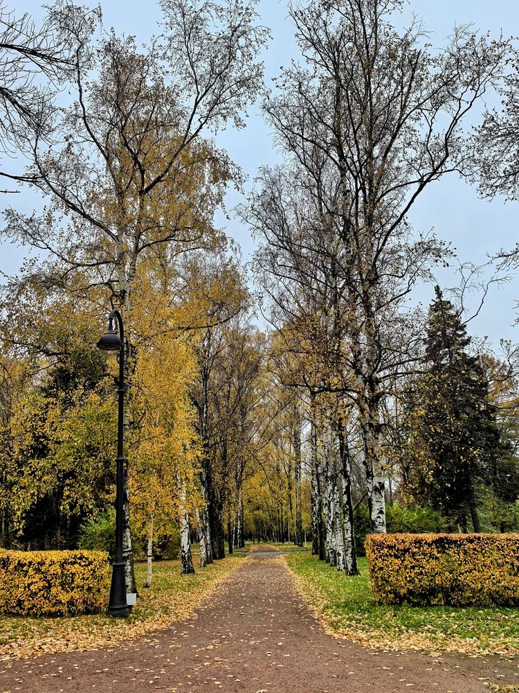 Photograph by Мария Тёмкина