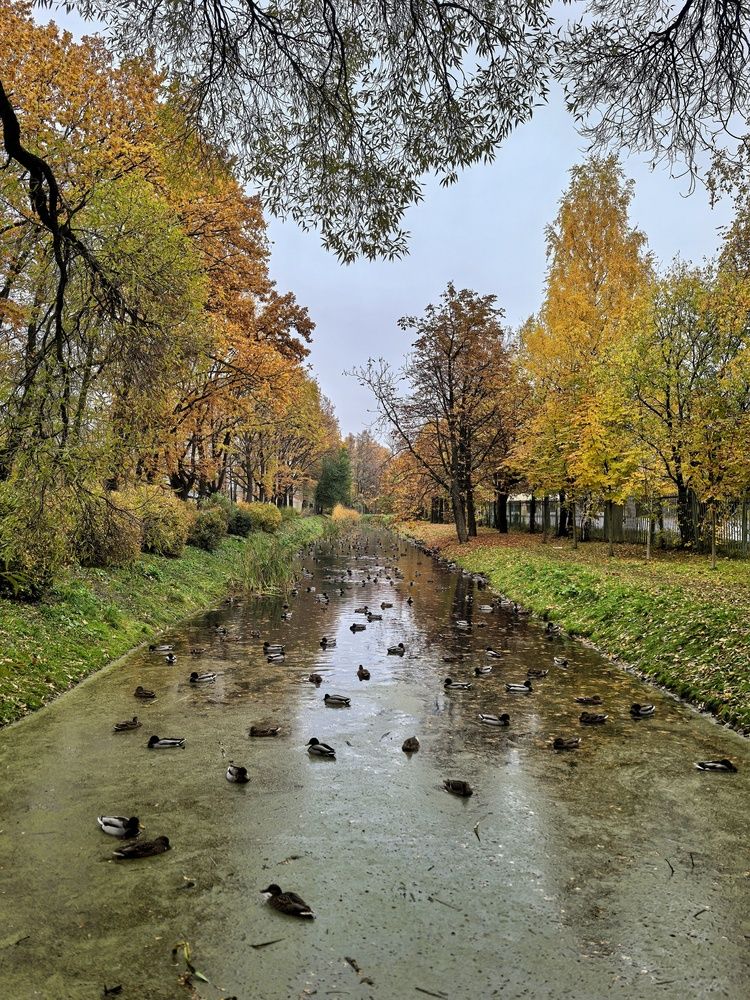 Photograph by Мария Тёмкина