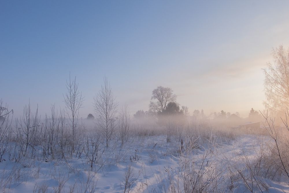 Фотография автора Наталья Липовская