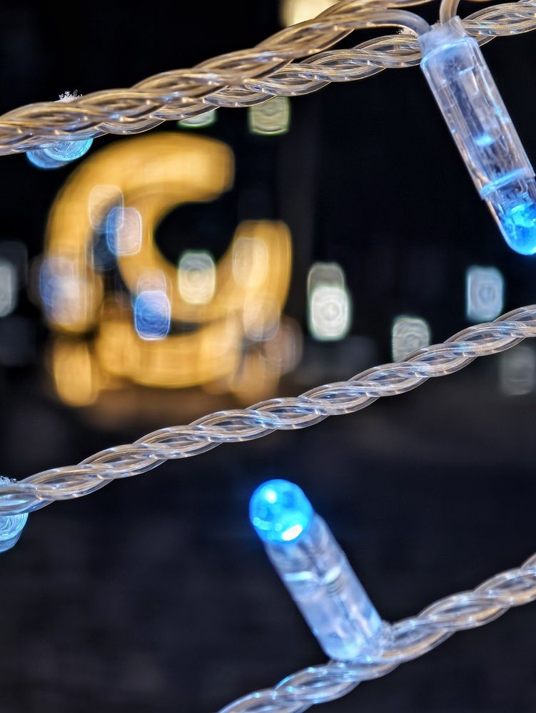 Photograph by Мария Тёмкина