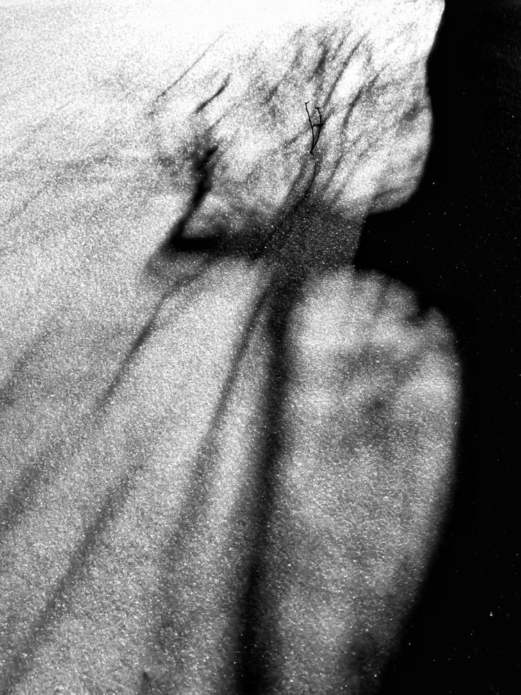 Photograph by Мария Тёмкина