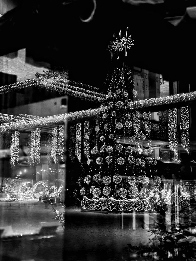 Photograph by Мария Тёмкина