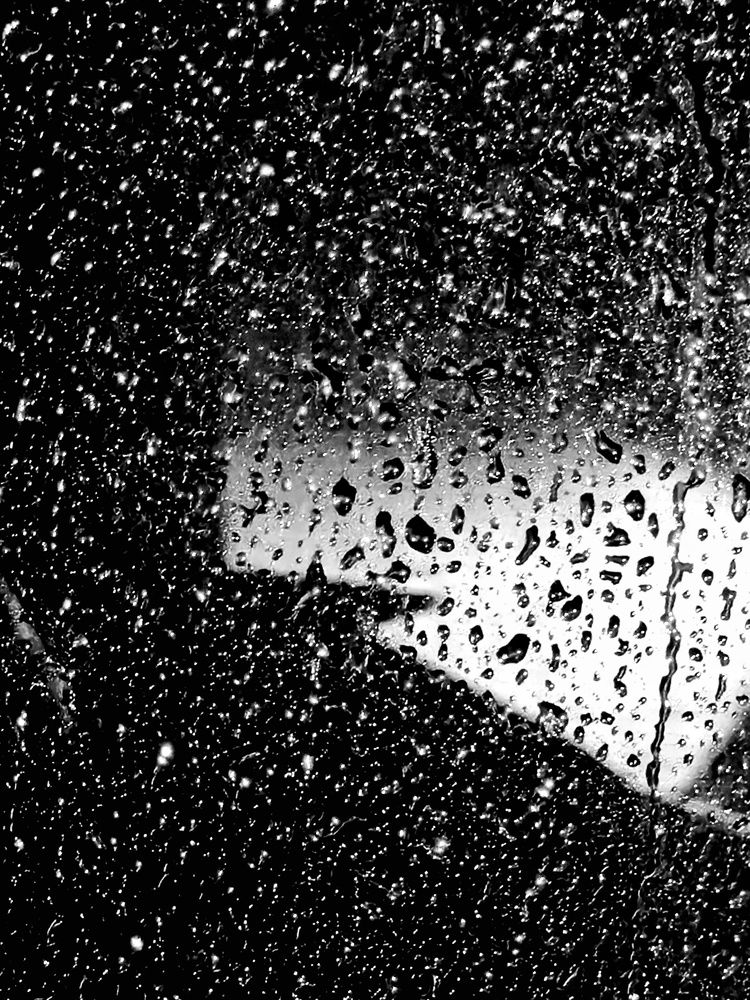 Photograph by Мария Тёмкина