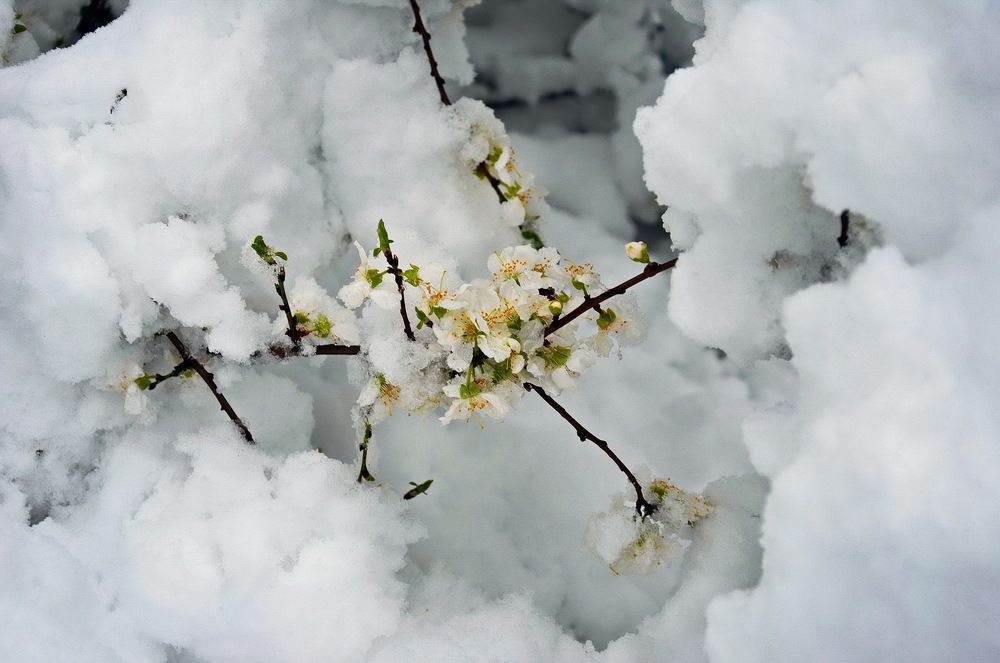 Фотография автора ВЛАДИМИР Тертышник