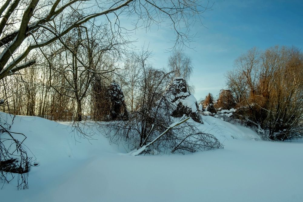 Photograph by Михаил Косолапов