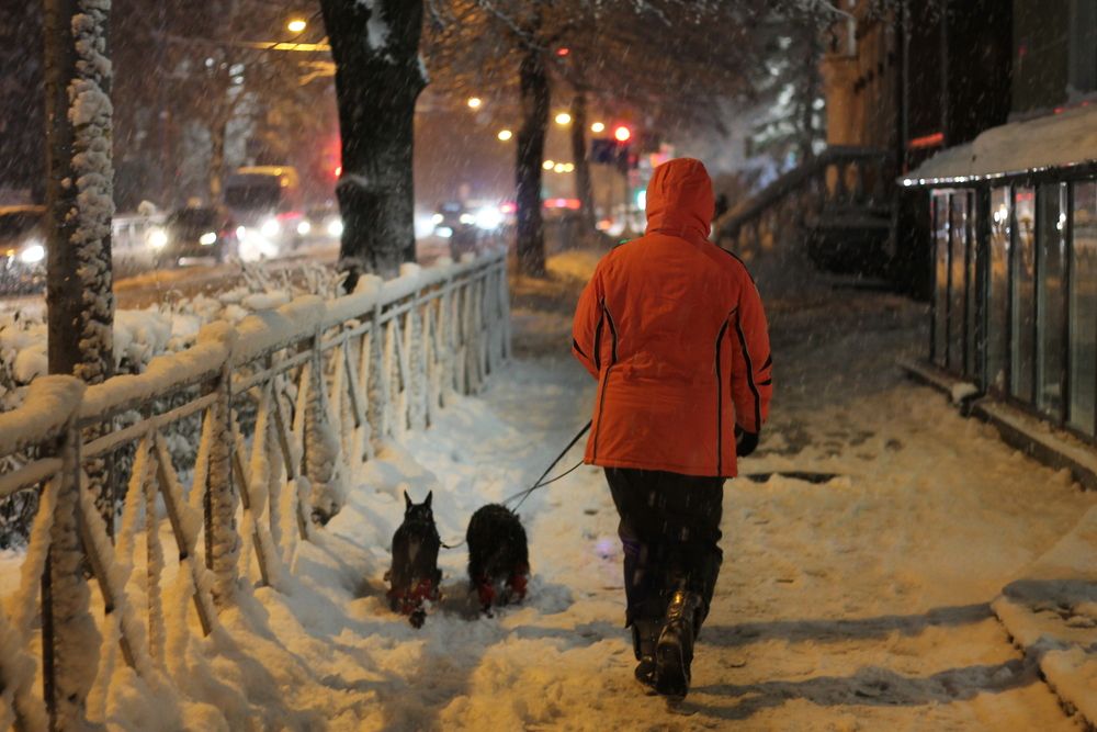 Фотография автора Кристина Альшанская