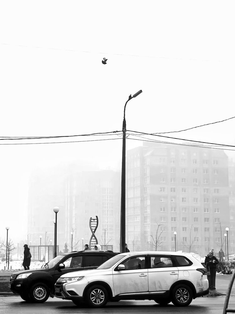 Photograph by Мария Тёмкина
