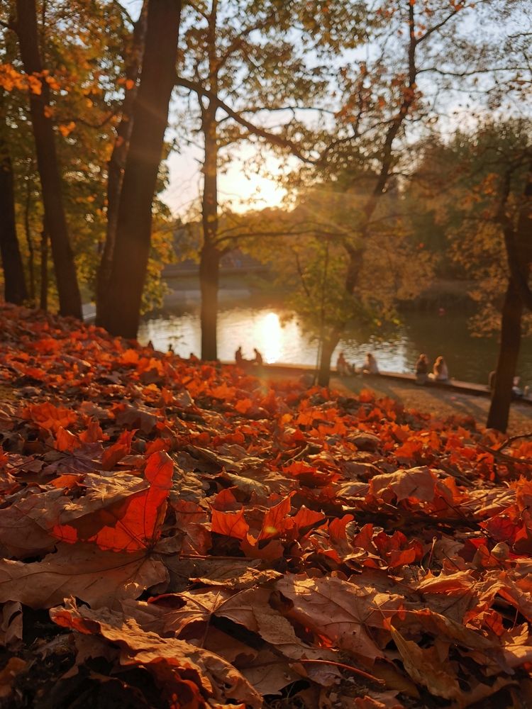Photograph by Анна Кош
