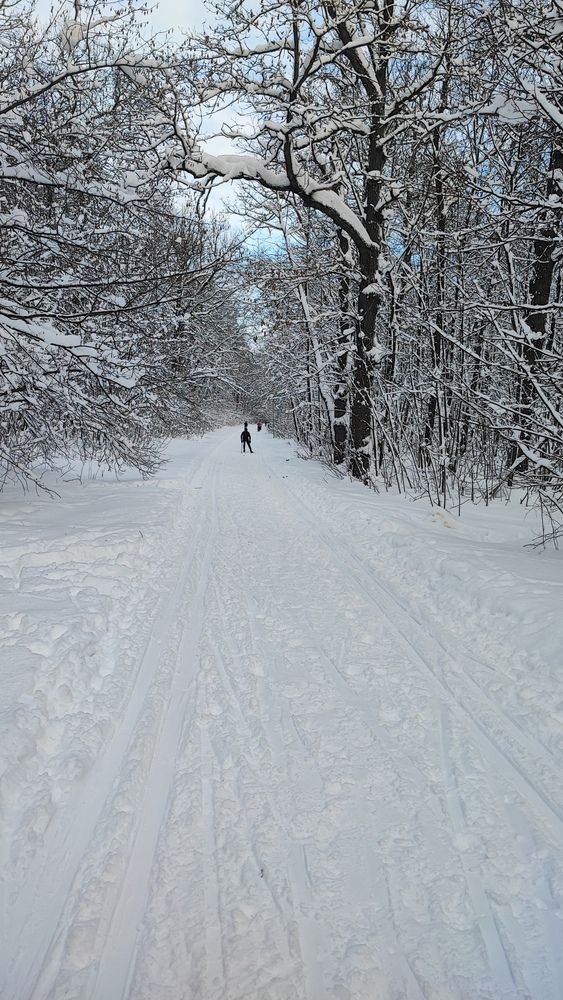 Photograph by Екатерина Александровна