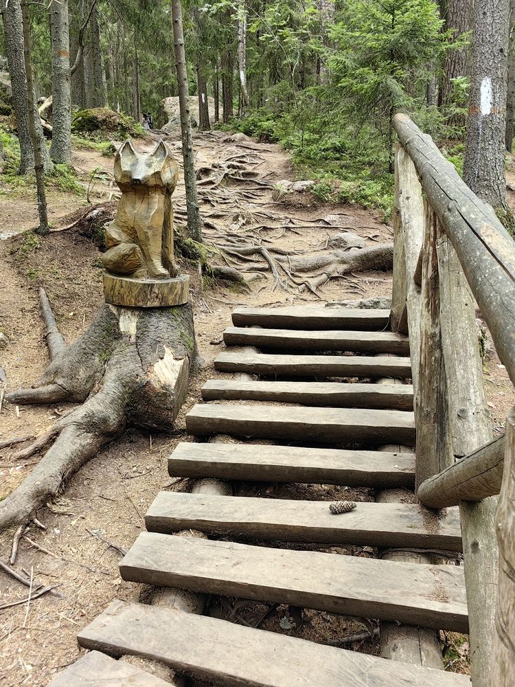 Фотография автора Sparc-jr