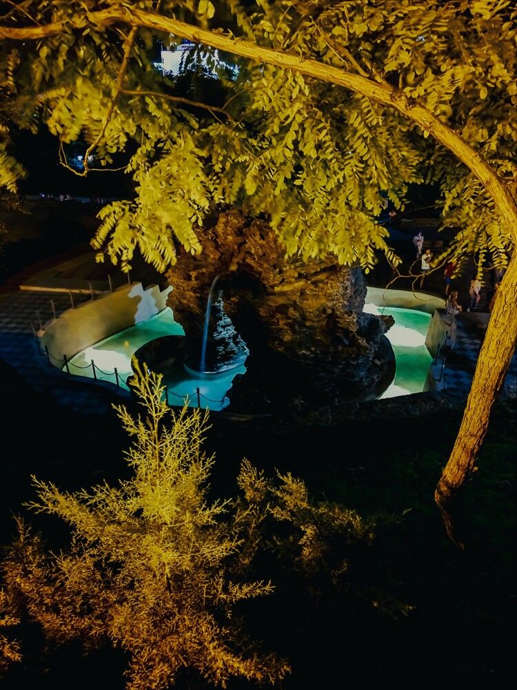 Photograph by Сергей Мамалюк