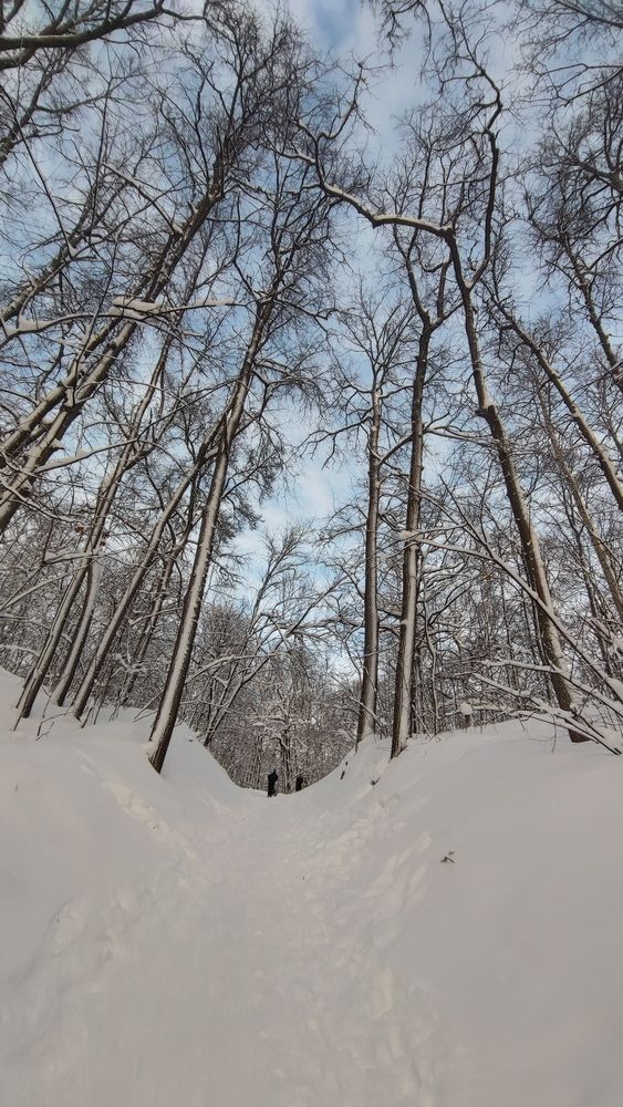 Photograph by Екатерина Александровна