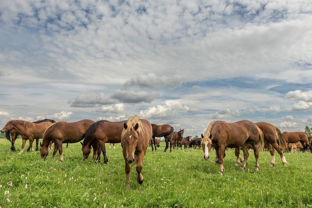Фотография автора Наталья Липовская